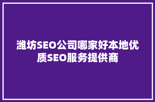 潍坊SEO公司哪家好本地优质SEO服务提供商  第1张