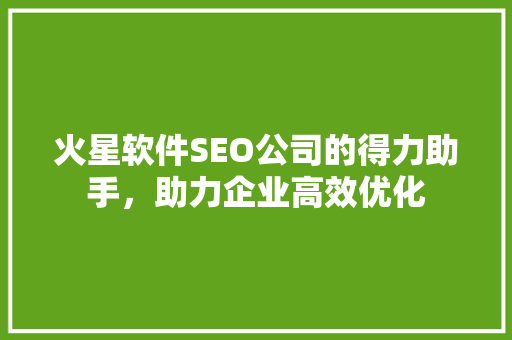 火星软件SEO公司的得力助手，助力企业高效优化
