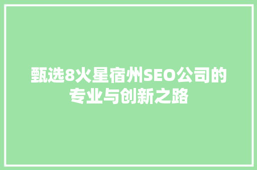 甄选8火星宿州SEO公司的专业与创新之路  第1张