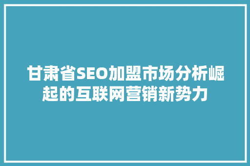 甘肃省SEO加盟市场分析崛起的互联网营销新势力