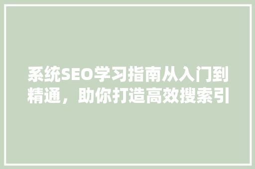 系统SEO学习指南从入门到精通，助你打造高效搜索引擎优化步骤
