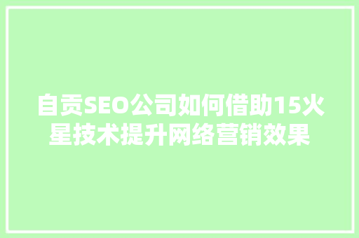 自贡SEO公司如何借助15火星技术提升网络营销效果