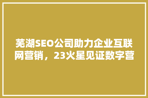 芜湖SEO公司助力企业互联网营销，23火星见证数字营销新纪元