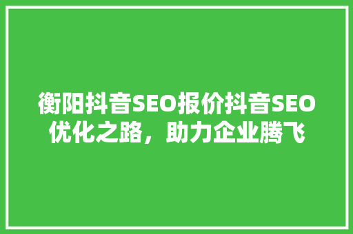 衡阳抖音SEO报价抖音SEO优化之路，助力企业腾飞