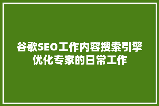 谷歌SEO工作内容搜索引擎优化专家的日常工作
