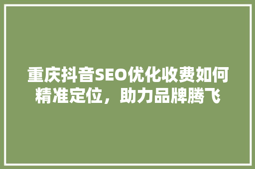 重庆抖音SEO优化收费如何精准定位，助力品牌腾飞