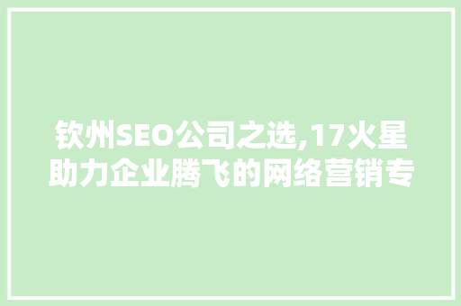 钦州SEO公司之选,17火星助力企业腾飞的网络营销专家