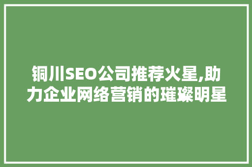 铜川SEO公司推荐火星,助力企业网络营销的璀璨明星