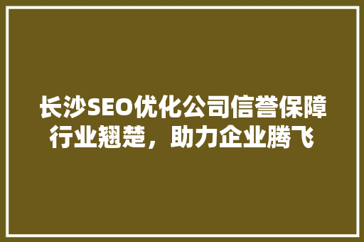 长沙SEO优化公司信誉保障行业翘楚，助力企业腾飞