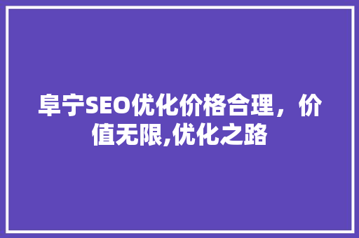 阜宁SEO优化价格合理，价值无限,优化之路
