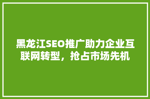 黑龙江SEO推广助力企业互联网转型，抢占市场先机