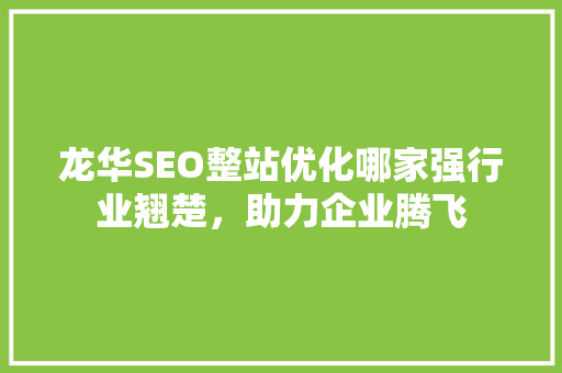 龙华SEO整站优化哪家强行业翘楚，助力企业腾飞  第1张
