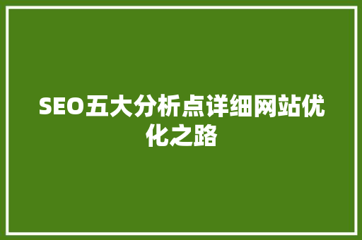 SEO五大分析点详细网站优化之路