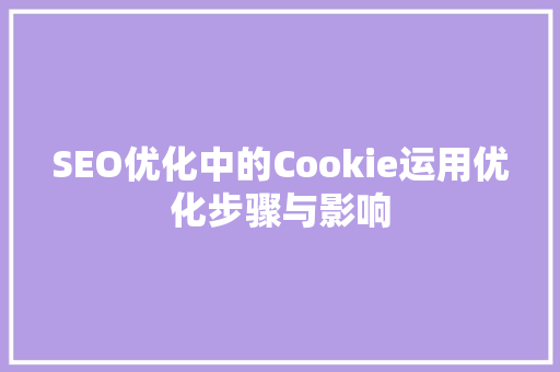 SEO优化中的Cookie运用优化步骤与影响