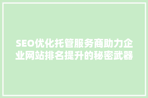 SEO优化托管服务商助力企业网站排名提升的秘密武器