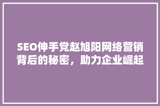 SEO伸手党赵旭阳网络营销背后的秘密，助力企业崛起