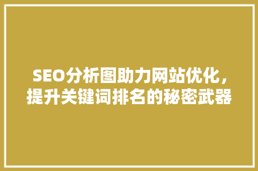 SEO分析图助力网站优化，提升关键词排名的秘密武器