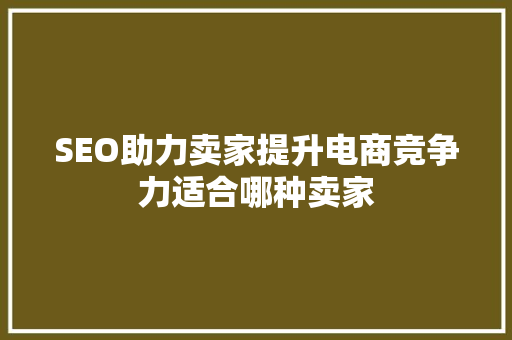 SEO助力卖家提升电商竞争力适合哪种卖家