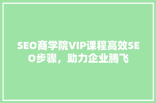 SEO商学院VIP课程高效SEO步骤，助力企业腾飞