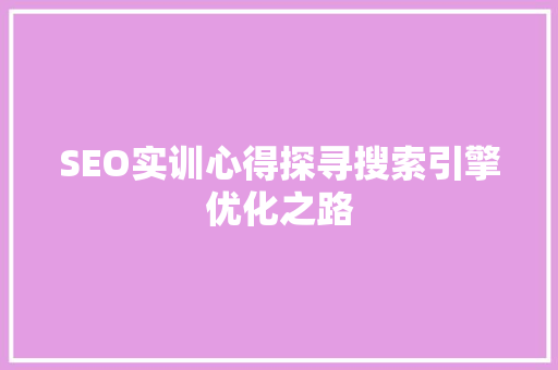 SEO实训心得探寻搜索引擎优化之路