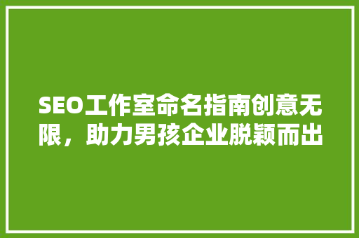 SEO工作室命名指南创意无限，助力男孩企业脱颖而出