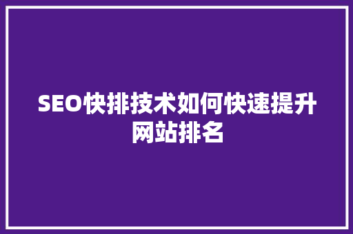 SEO快排技术如何快速提升网站排名