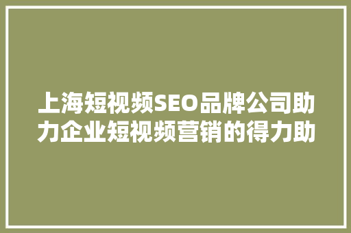 上海短视频SEO品牌公司助力企业短视频营销的得力助手