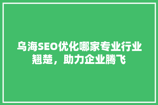 乌海SEO优化哪家专业行业翘楚，助力企业腾飞
