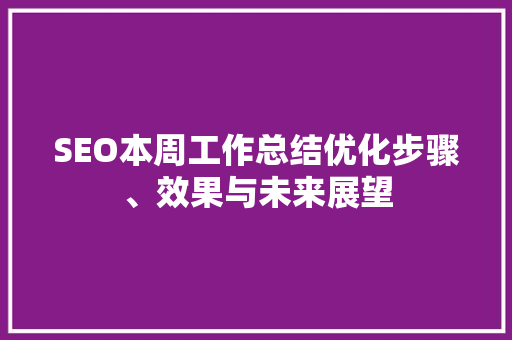 SEO本周工作总结优化步骤、效果与未来展望  第1张