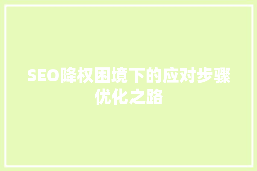 SEO降权困境下的应对步骤优化之路
