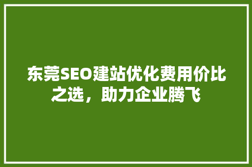 东莞SEO建站优化费用价比之选，助力企业腾飞