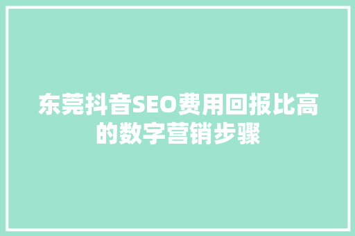 东莞抖音SEO费用回报比高的数字营销步骤