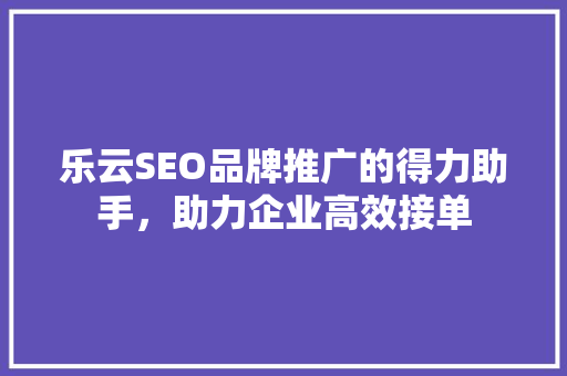 乐云SEO品牌推广的得力助手，助力企业高效接单