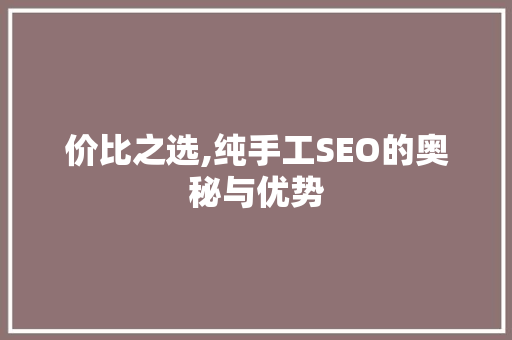 价比之选,纯手工SEO的奥秘与优势