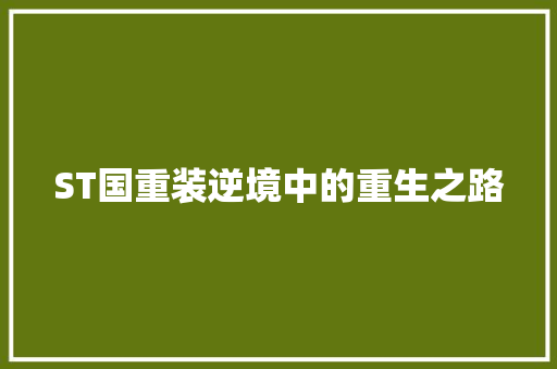 ST国重装逆境中的重生之路