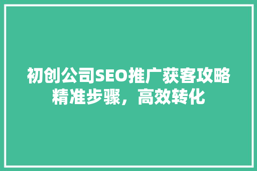 初创公司SEO推广获客攻略精准步骤，高效转化