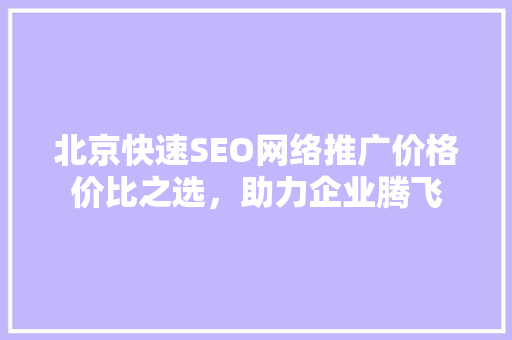 北京快速SEO网络推广价格价比之选，助力企业腾飞