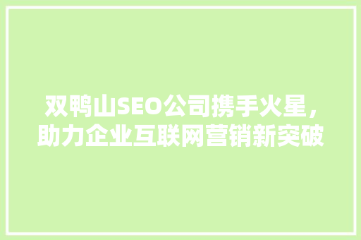 双鸭山SEO公司携手火星，助力企业互联网营销新突破