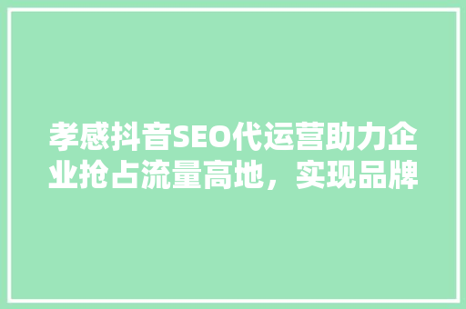 孝感抖音SEO代运营助力企业抢占流量高地，实现品牌飞跃  第1张