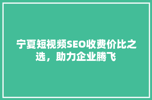 宁夏短视频SEO收费价比之选，助力企业腾飞