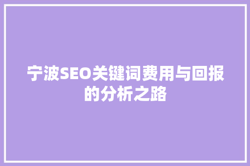 宁波SEO关键词费用与回报的分析之路