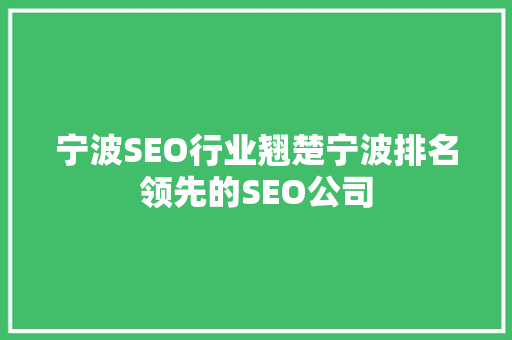 宁波SEO行业翘楚宁波排名领先的SEO公司