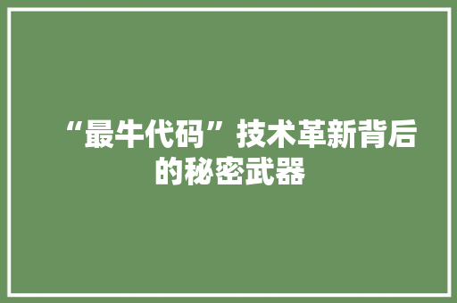 “最牛代码”技术革新背后的秘密武器