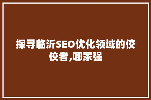 探寻临沂SEO优化领域的佼佼者,哪家强