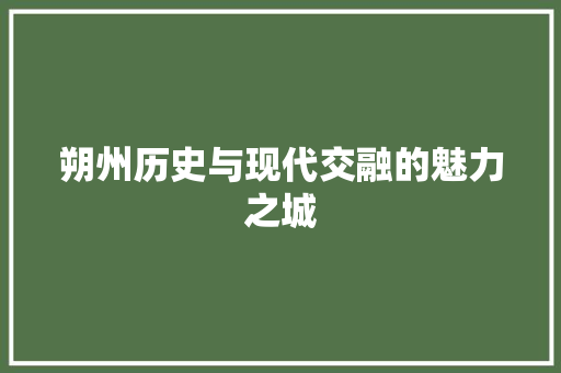 朔州历史与现代交融的魅力之城  第1张