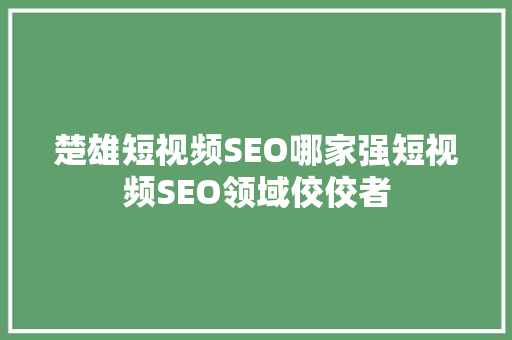 楚雄短视频SEO哪家强短视频SEO领域佼佼者
