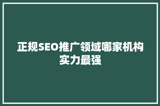 正规SEO推广领域哪家机构实力最强