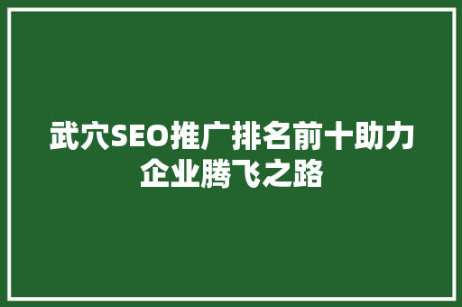 武穴SEO推广排名前十助力企业腾飞之路