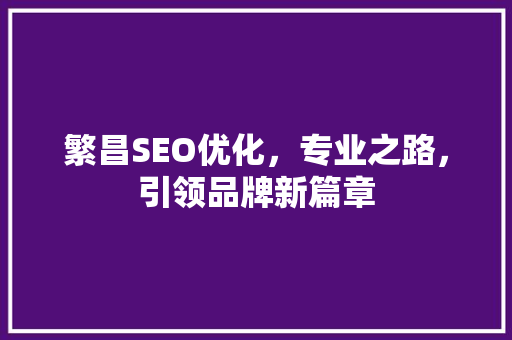 繁昌SEO优化，专业之路，引领品牌新篇章