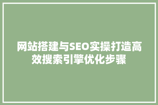 网站搭建与SEO实操打造高效搜索引擎优化步骤